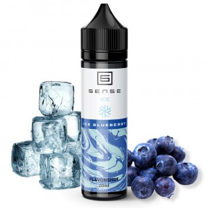 5ENSE ICE Blueberry 20мл flavorshot
